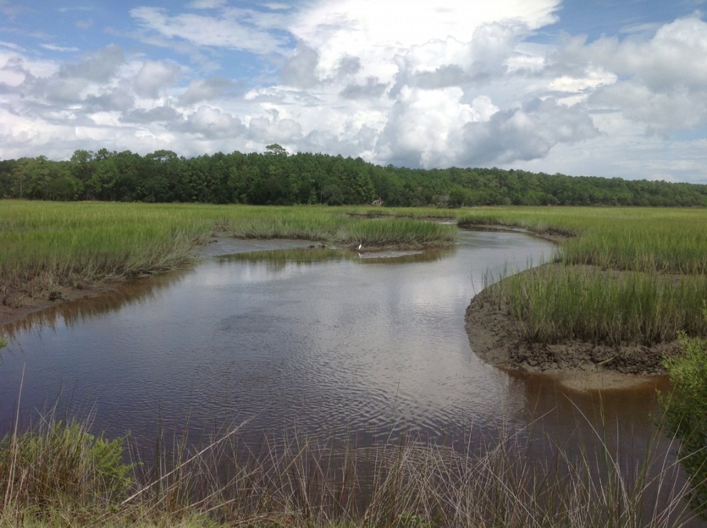 estuary