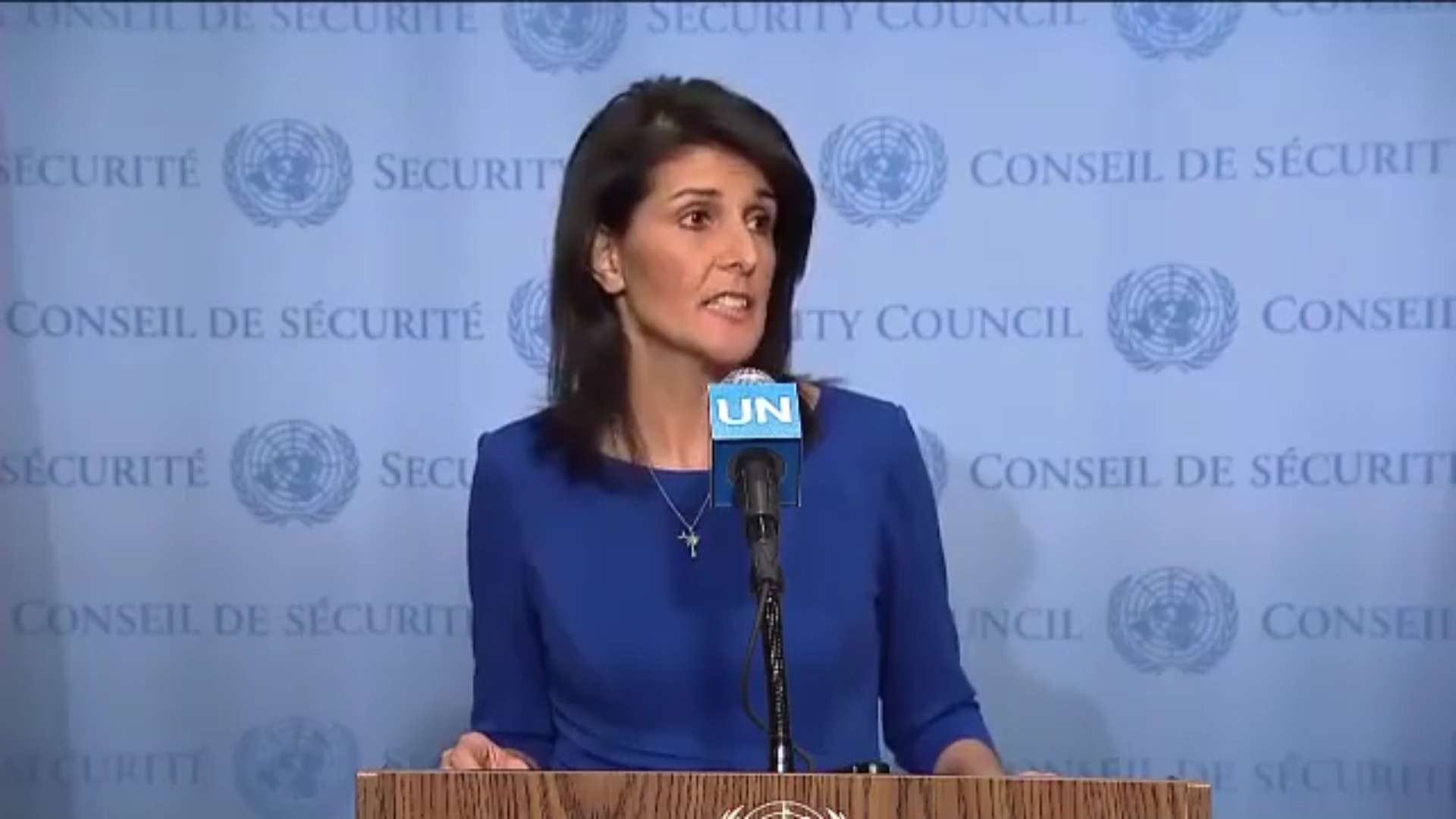 Nikki at UN