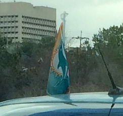 dolphin flag