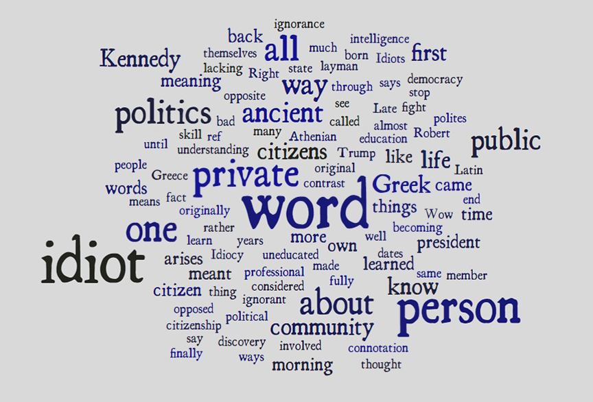 idiot word cloud