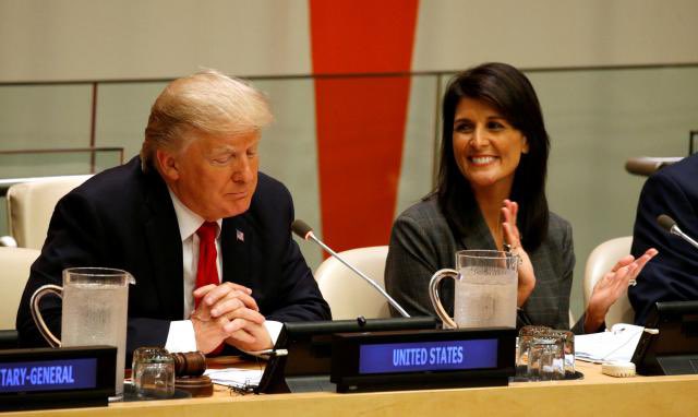 Trump Haley