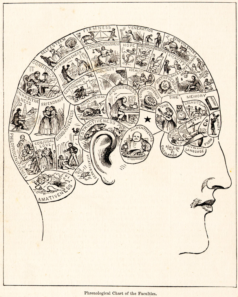 I love the "technical, scientific" terms on this phrenology chart. I think my fave is "ALIMENTIVENESS."
