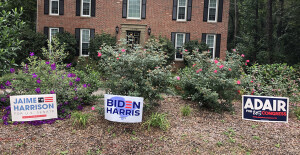 Other neighbors keep putting them up.