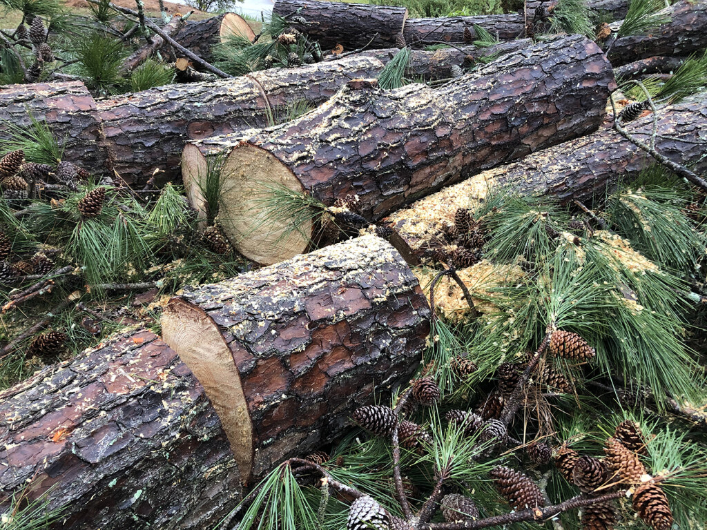 lumber