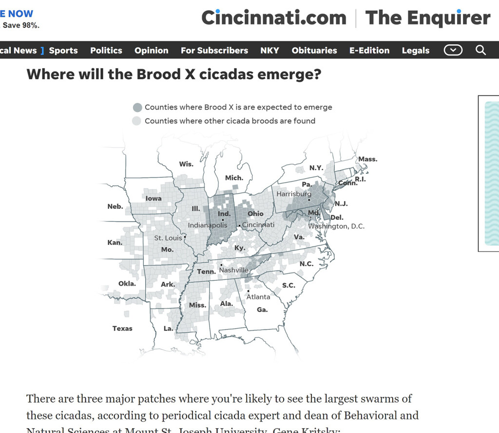 cicada map